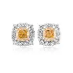 White gold studs with yellow diamonds. Center stones are intense yellow diamonds each surrounded by a halo of white round-cut diamonds.